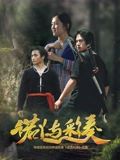 诺丫与彩奏海报